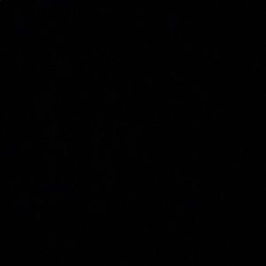 Meet your Posher, Nigel